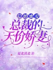隱婚蜜愛:總裁的天價嬌妻