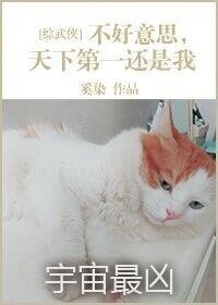 （綜武俠同人）不好意思天下第一還是我[綜]